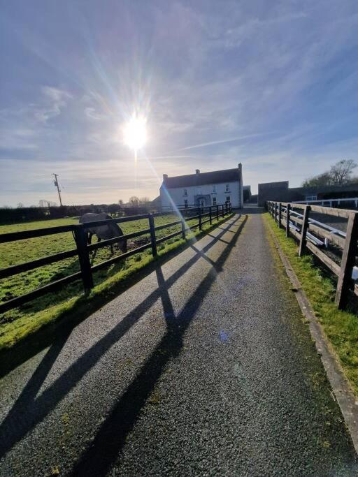 Welcome To Dc'S Cottage Holycross Eksteriør bilde
